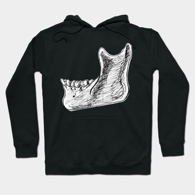 Pen and Ink Mandible Sketch Hoodie by emadamsinc